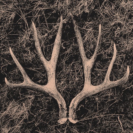 ͏ ͏ ʽʽ ͏ ͏ 𝓁𝐚𝐝𝐲 ͏ ͏ ͏ in ͏ ͏ ͏ 𝙗𝙡𝙪𝙚. tweet media