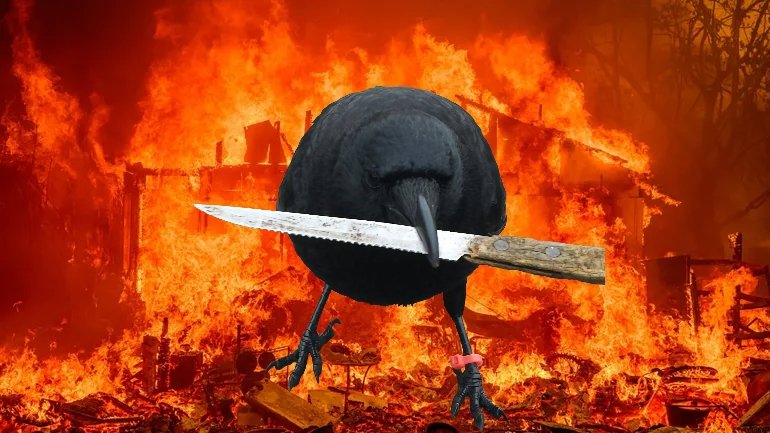 <a href="/LayerZero_Core/">LayerZero</a> crow with knife 
Burn 🔥 burn 🔥