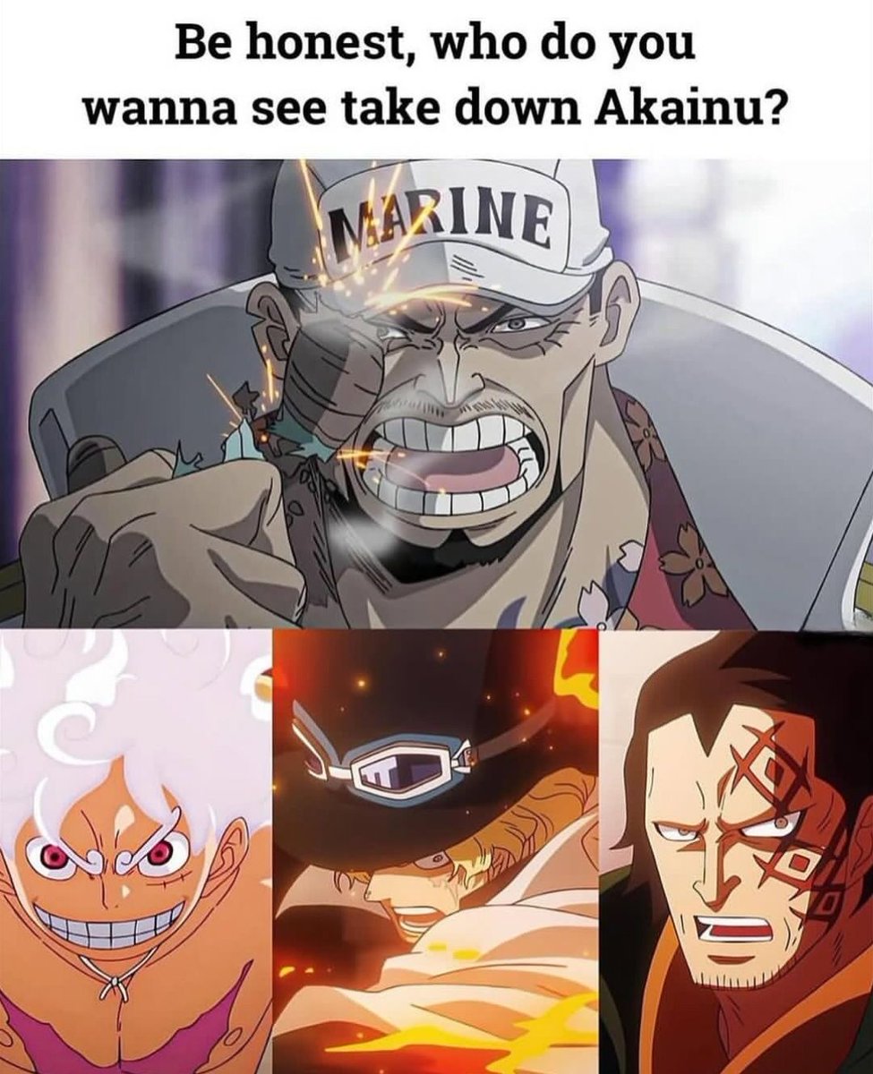 One Piece Daily tweet media