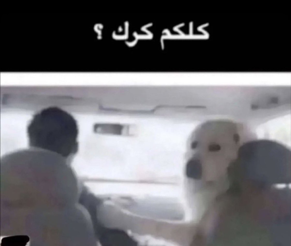 بكره الصبح 🤣🤣🤣🤣🤣🤣  #تعليق_الدراسه