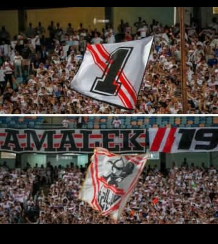 رفرف يلعن ابو أعدائك 👌😎