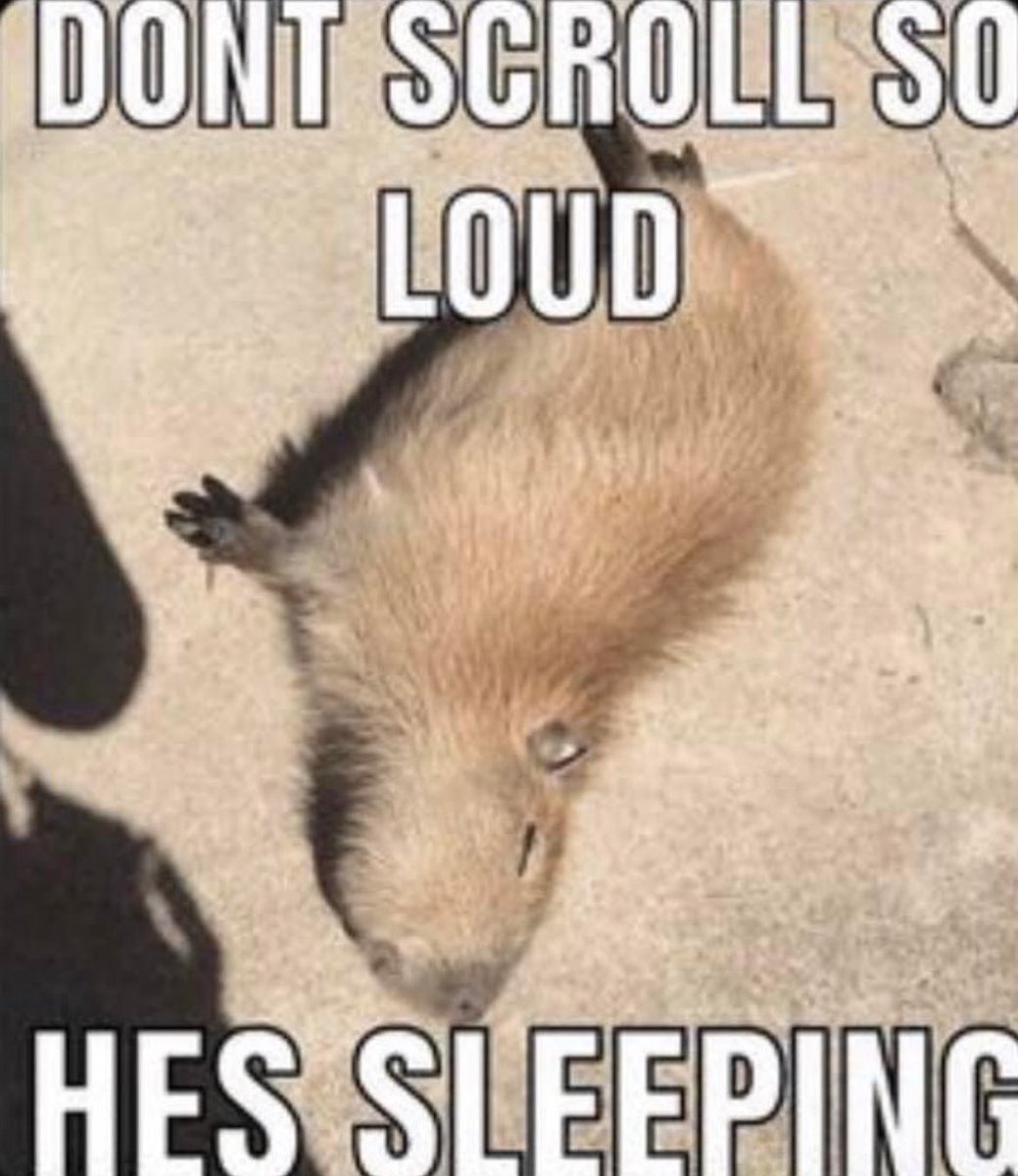 Sasaki (@sasaki_rl) on Twitter photo 