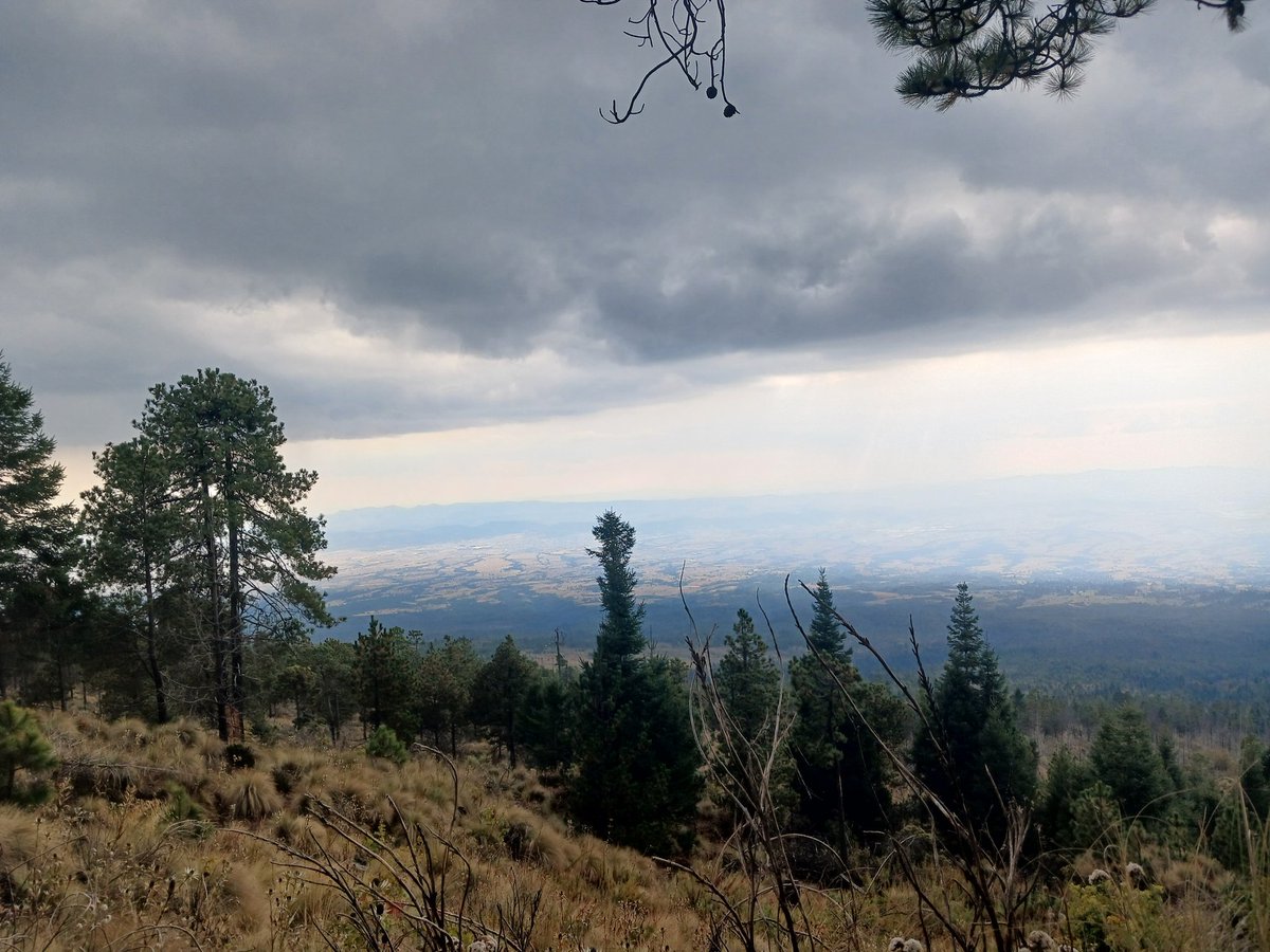 Este fin de semana pude completar una meta personal y me lleve conmigo el escudo de <a href="/PIOFCFemenil/">PIO FC Femenil</a> porque nadie nos baja de la cima.