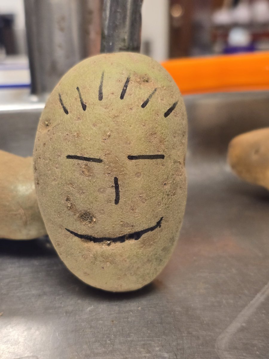 CG_by_SB's tweet photo. When the kitchen needs a new friend... https://t.co/rUCQW547jB