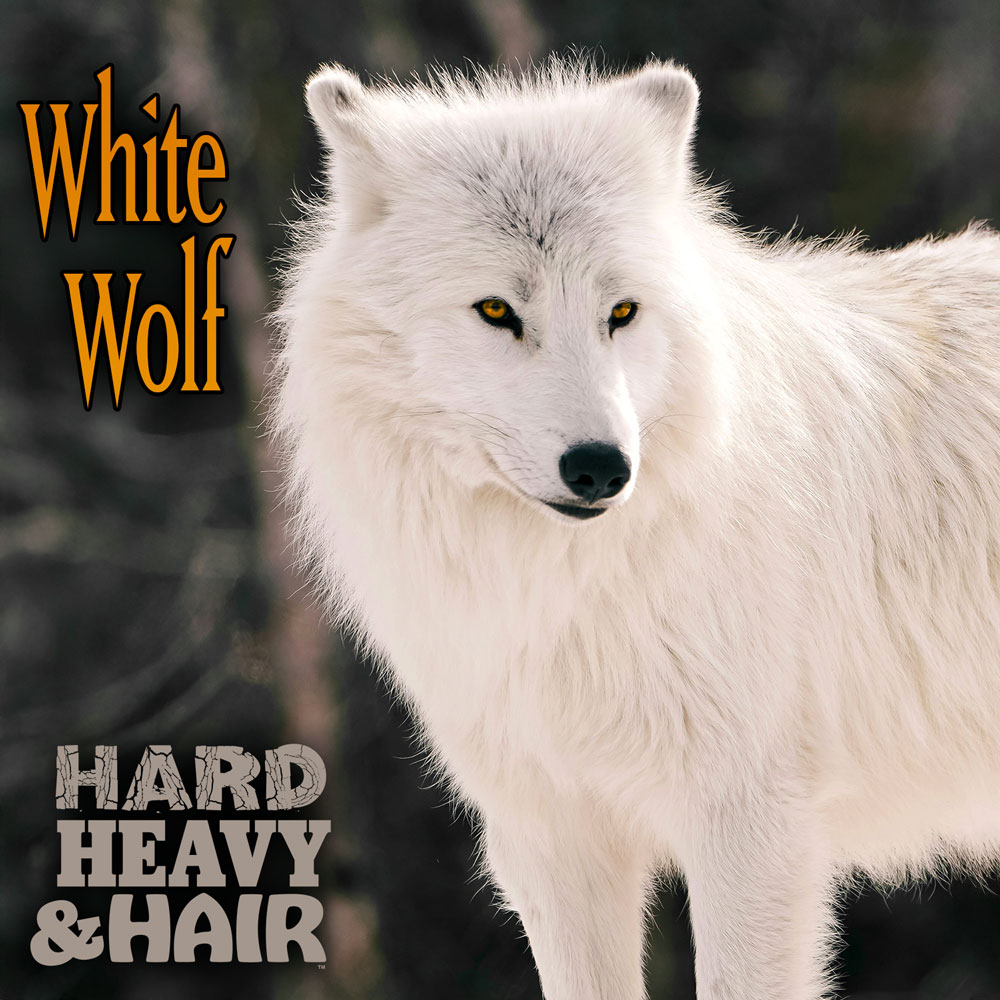 rockn.me/hhh545 LISTEN FREE ON-DEMAND to “White Wolf” 2 hours of new AND classic #HardRock, #HeavyMetal, and Hairy #GlamMetal + Rock and Metal trivia, The Hard, Heavy &amp; Hair Show with Pariah Burke no. 545

#classicrock #metal #guitar #metalgirl #metalhead #80srock