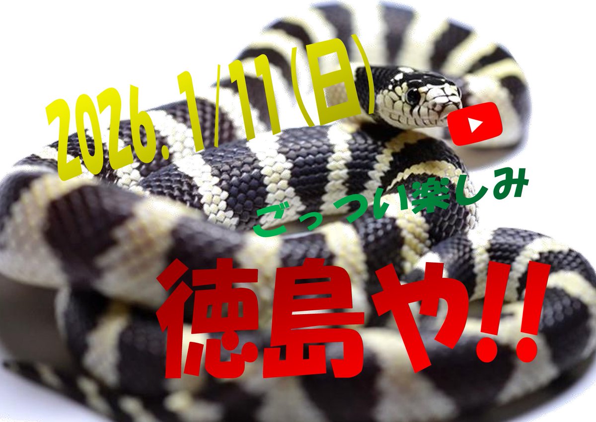 🐍元祖徳島爬虫類イベント🦎
🐢【🎊第7回徳島開催決定🎉】🐇

🕷1/11(日)あわぎんホール🐍

【HP👇】🦎
nagatukasa.wixsite.com/junglehunter/t7
【youtube👇】

【主な出展者】
<a href="/JapanHunterAss/">🐢🦜🦔🐿🦎一般社団法人日本ハンター協会🐁🐓🦉🐸🐇🐦</a>
<a href="/utautai_penguin/">やましたとも@ペンギンレコード</a>
<a href="/scale58587322/">scale</a>

#爬虫類 #カメ #ヤモリ #出店募集受付 #爬虫類イベント #JH徳島 #ジャングルハンター