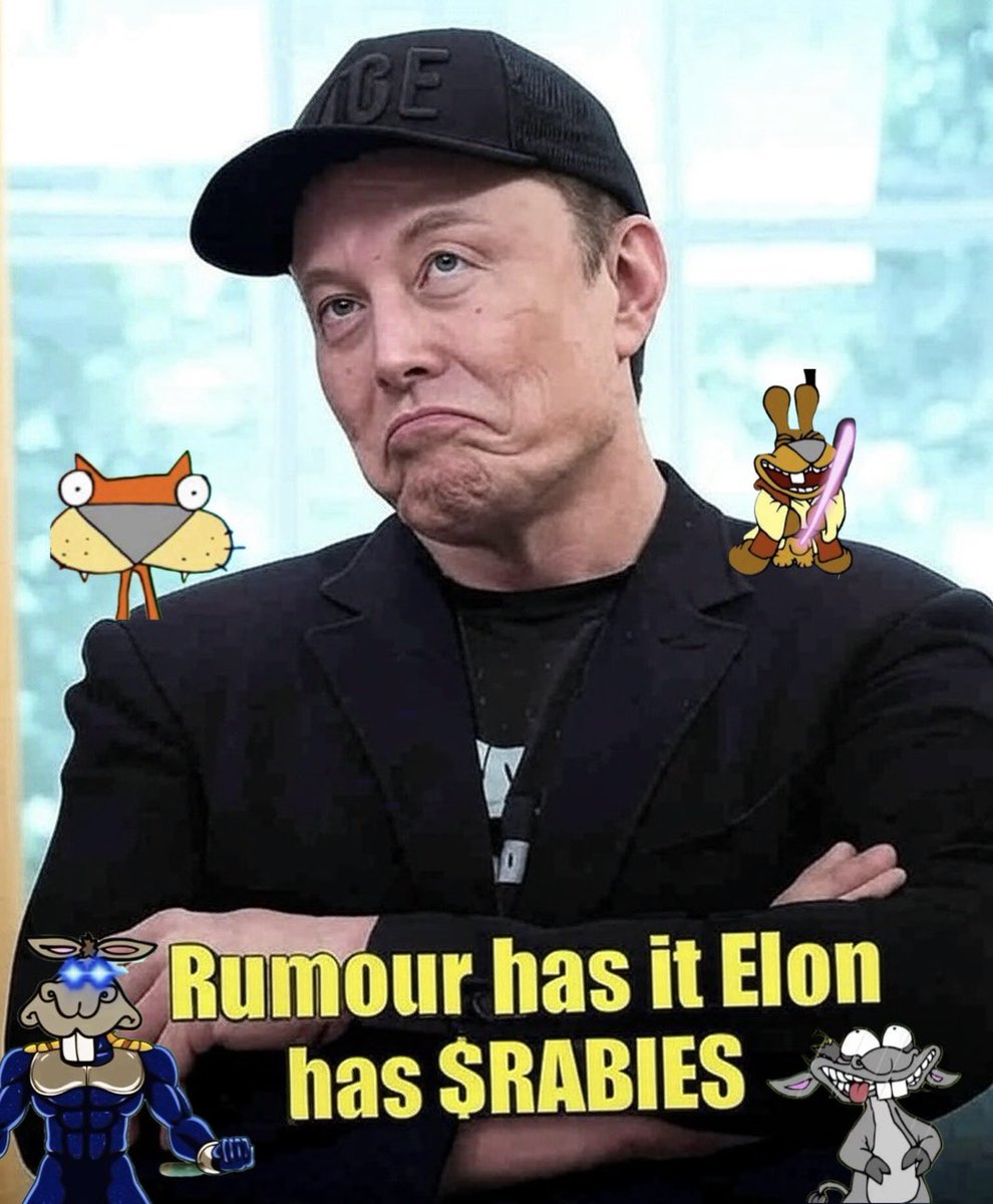 Tom_Bombadil_X's tweet image. I know for a fact @elonmusk has $RABIES 🤪 
@BaseOnRabies @base #memecoins

0xa4c5bda935aad63578bc1557736c71560bc44add