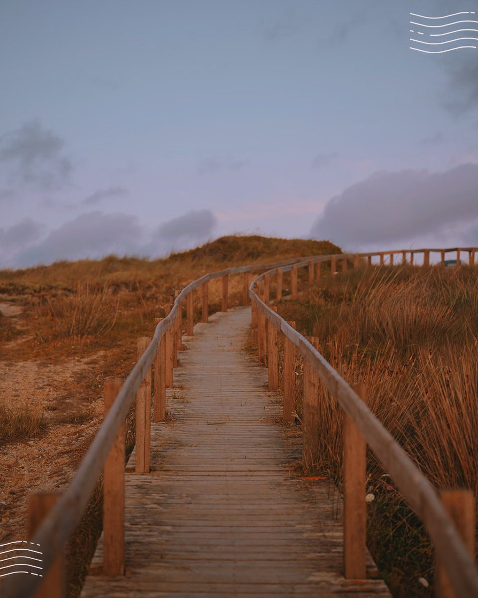 Center of Portugal tweet media