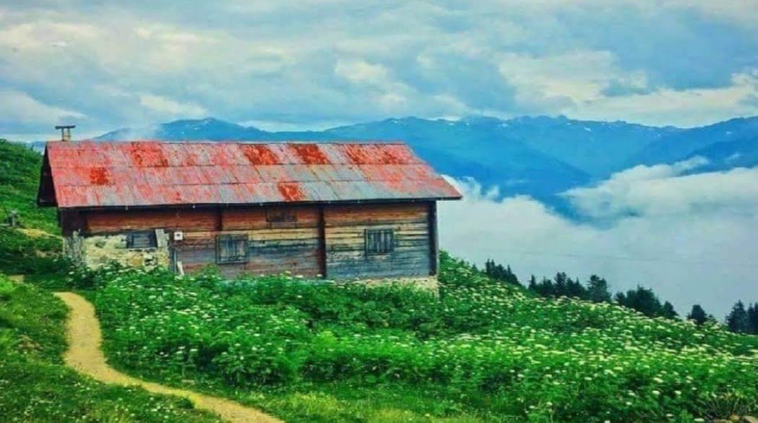 Kalabalıktan uzak duran, kendi dünyasında yaşayan, çekingen kişileri "anti-sosyal" diye yaftalamadan önce düşünün. Belki de toplumsal ilişkilerdeki sahtekârlık ve ikiyüzlülük, midelerini bulandırdığı içindir...