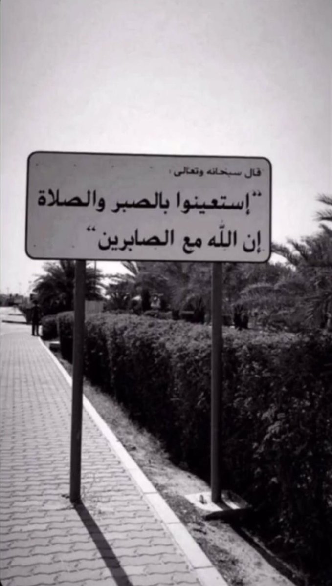 1il5i's tweet image. 