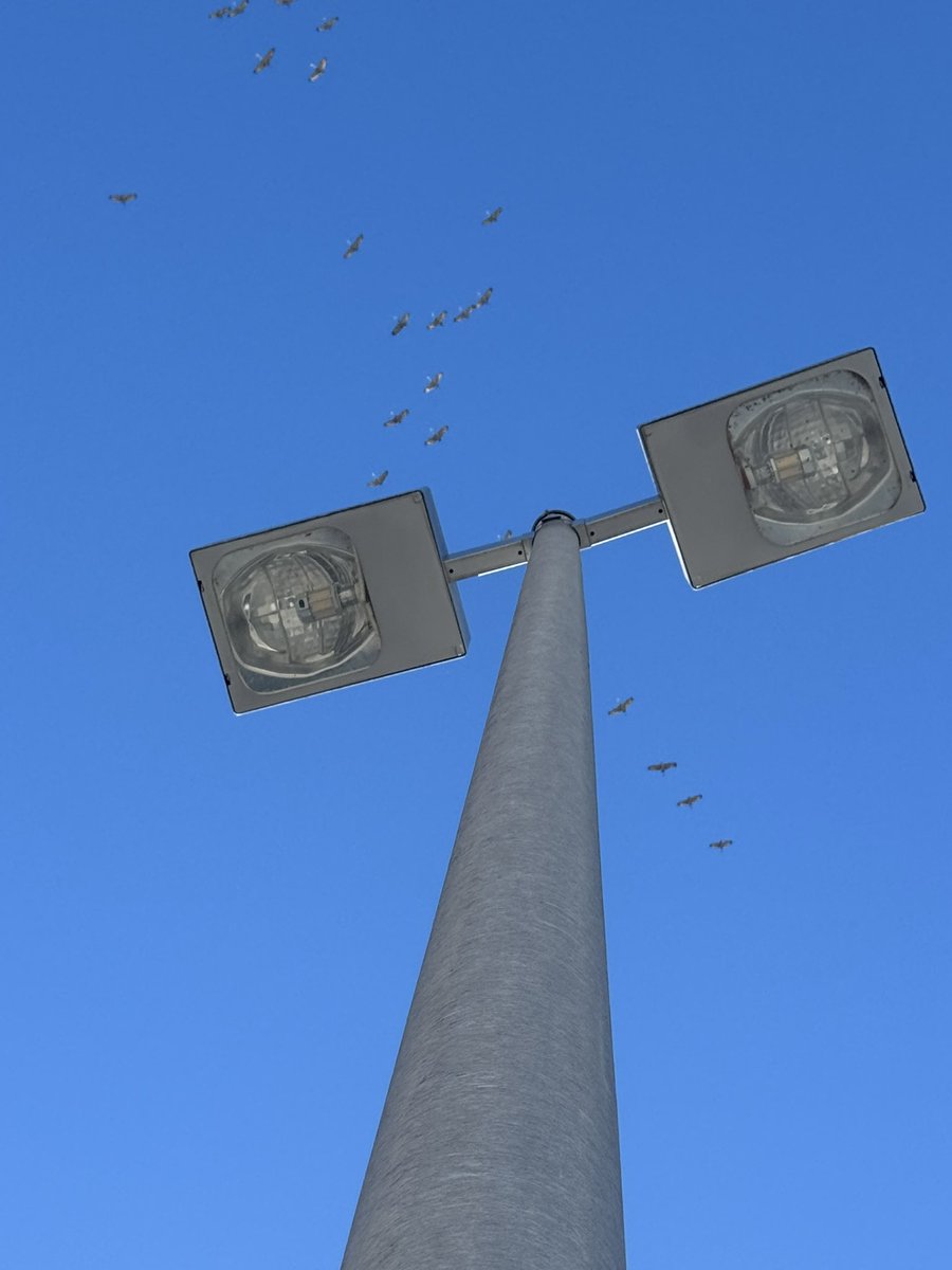 Tom Williams tweet media