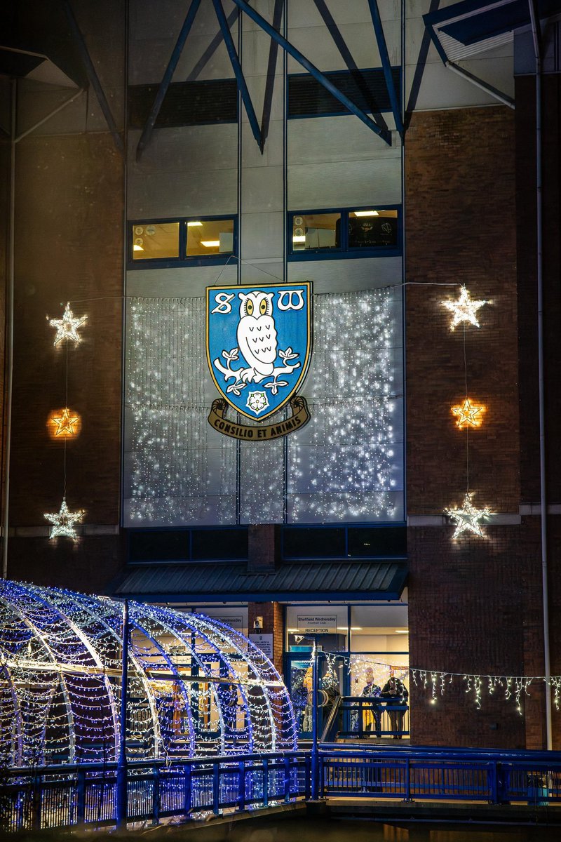 🎄🦉 La navidad llegó a Hillsborough y esperemos que con un nuevo dueño antes del 2026