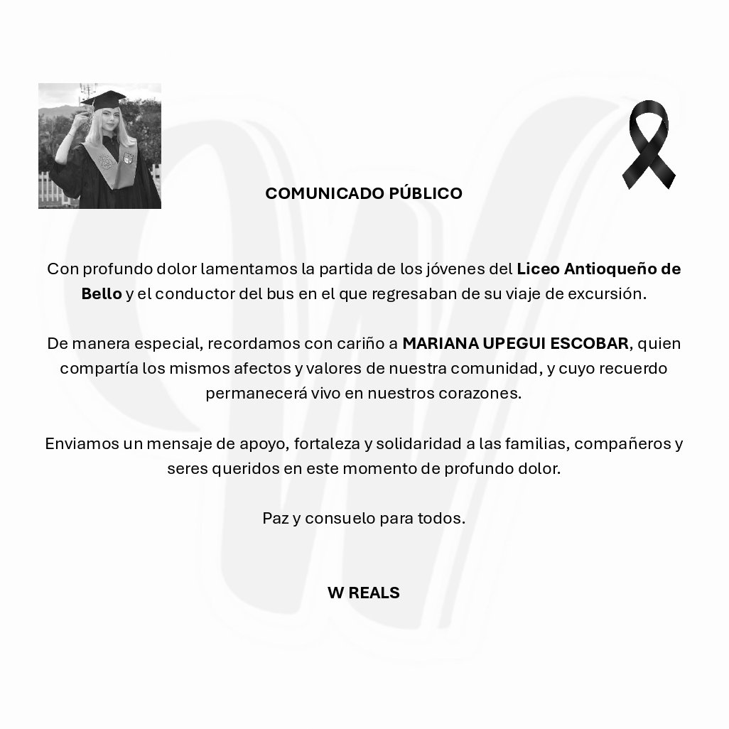 🕊️🕊️🕊️