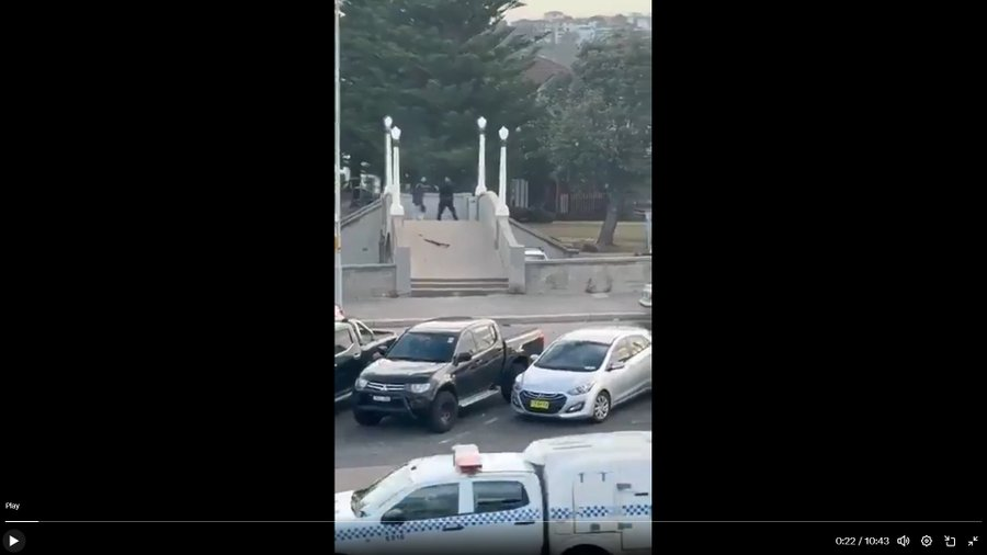 David Rader tweet media