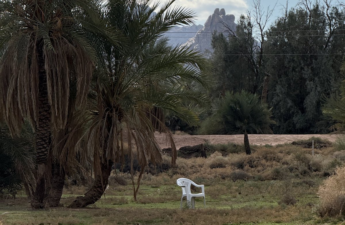 « أستميل لعزلتي وأبعد ولا عندي سبايب
غير حبي للهدوء اللي عن اللجّة مبدّا »