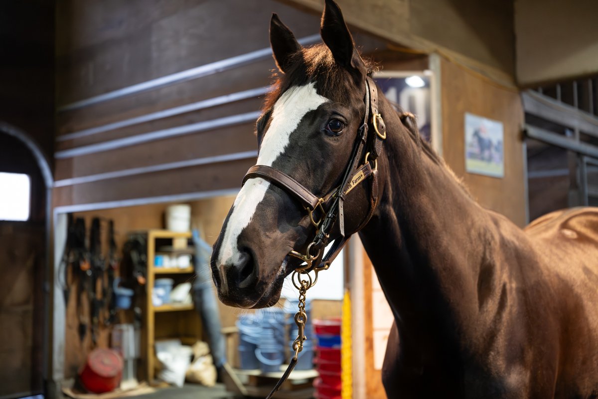 朱音(あかね） (@sixyana1) / Posts / X