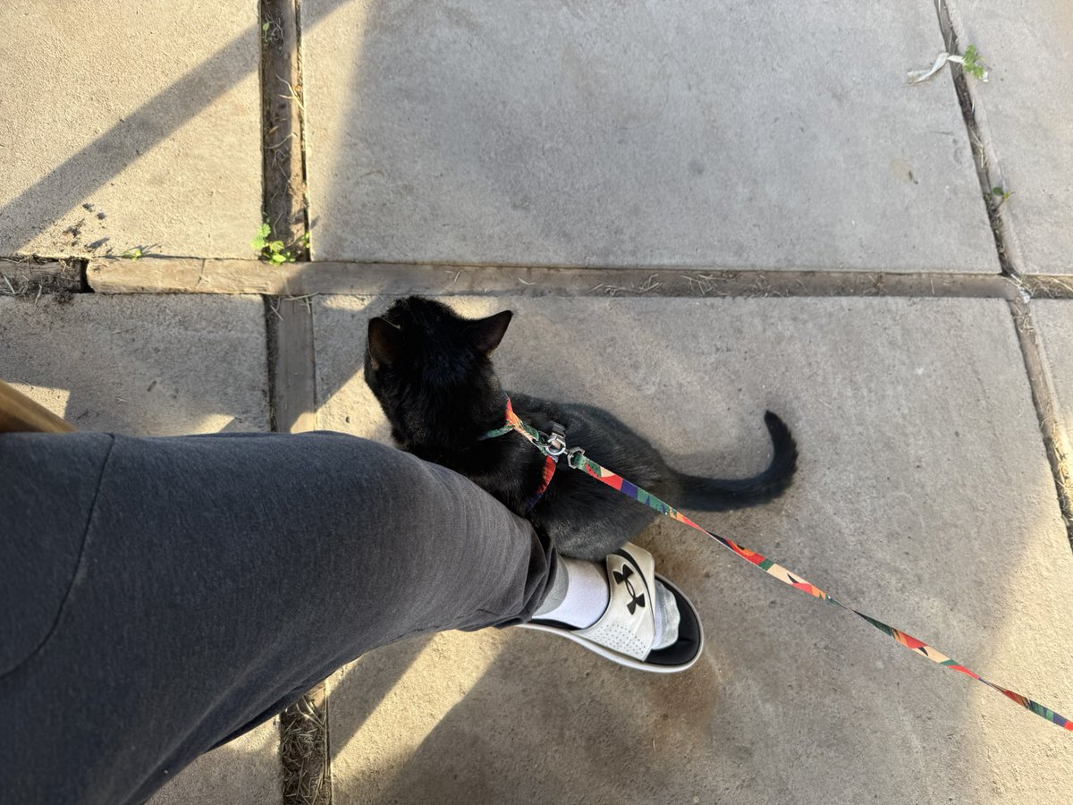 Ada❌ Payne tweet media