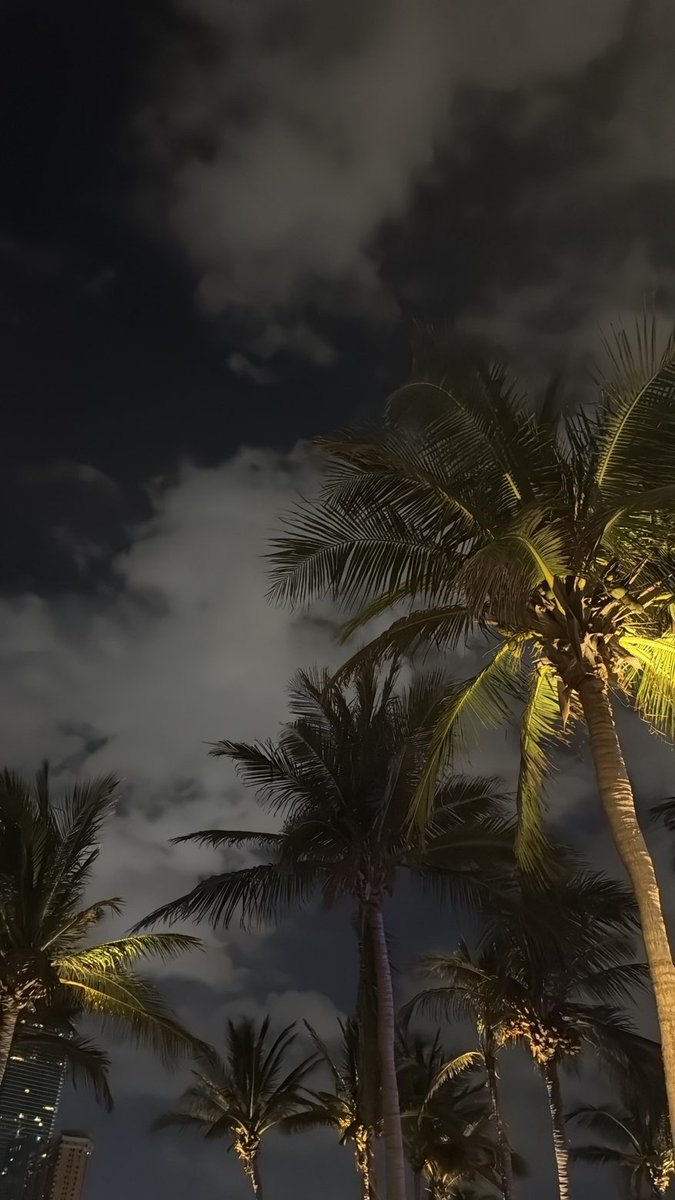 أحلام و مدينة 
ليل ونخيل وهبوب🌴