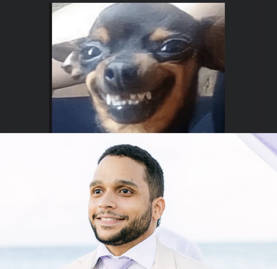 btcbongo's tweet image. my spirit animal