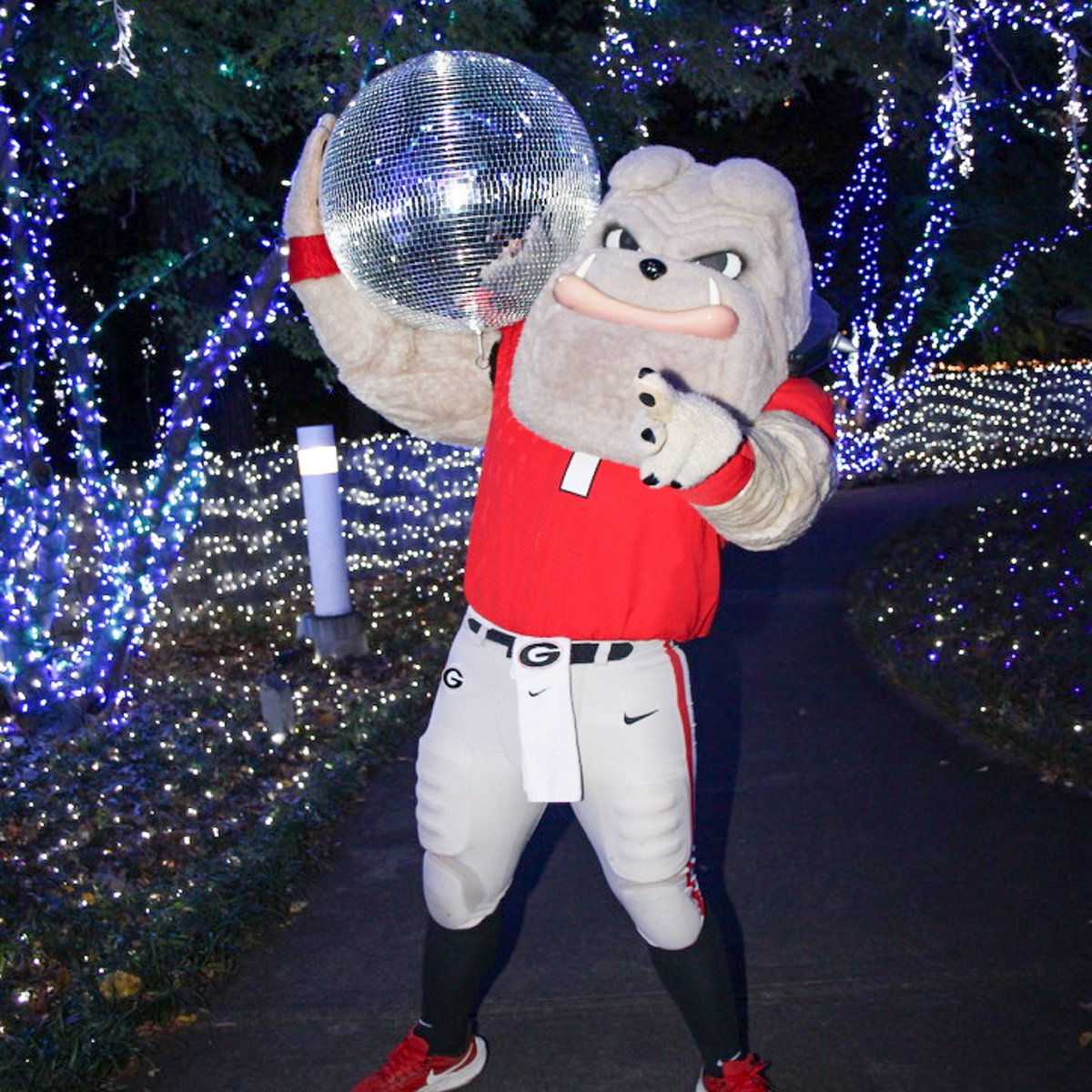 UGA Botanical Garden tweet media