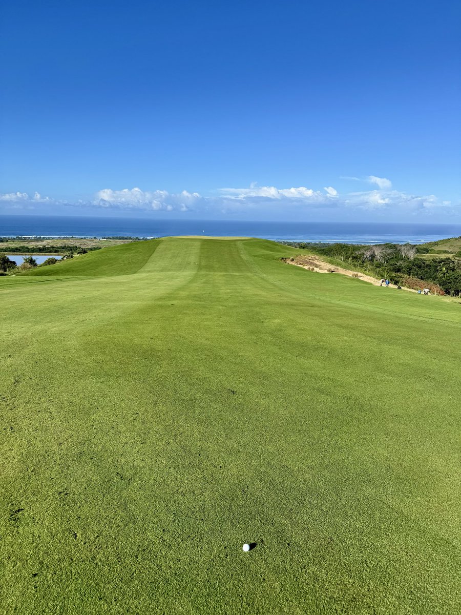 Andrew Sisson tweet media