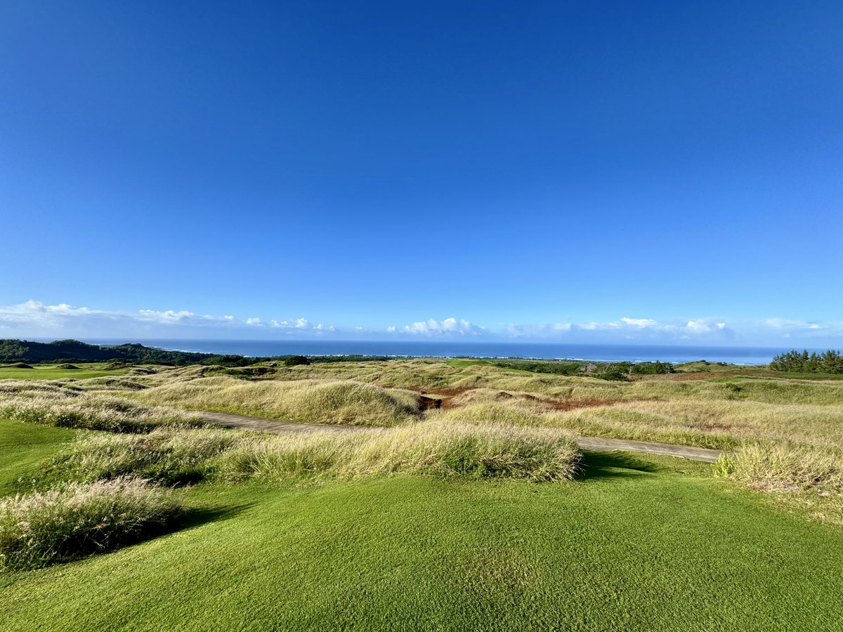 Andrew Sisson tweet media