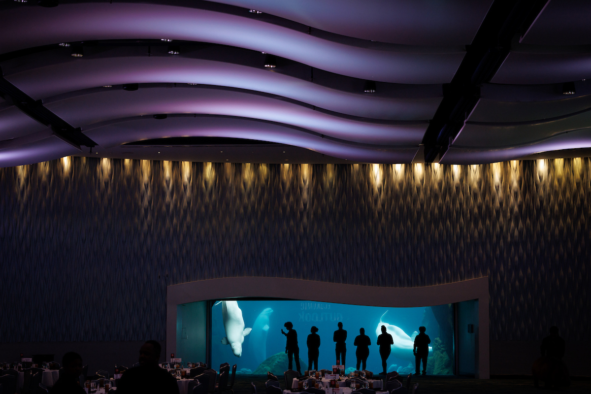 Terry College | UGA tweet media