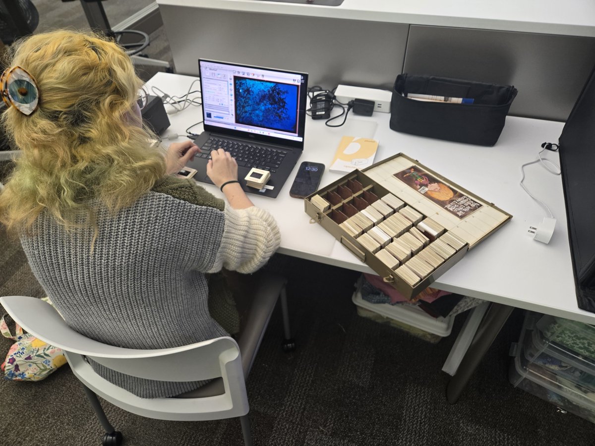 Just a glimpse at all the amazing things going on in the Innovation Studio the last few weeks! Stop by next semester and see what you can create!  🐴