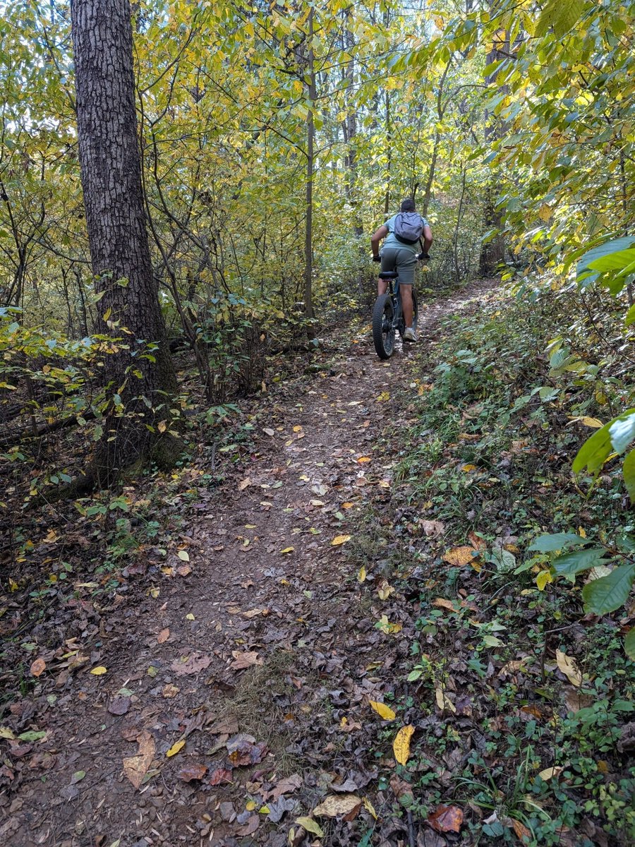 The Journey to Patience 12/15/25 – Hike 10/20/25

A walk in Nature helps restore one’s balance so patience is possible.

In life, challenges abound. I gained insight, help and understanding reading the New Message. Questions about life, the universe and these strange times?