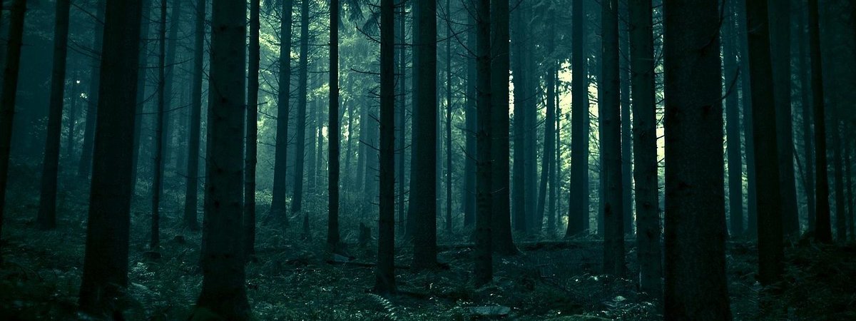 JeremyHaim's tweet photo. Connaissez-vous la forêt la plus flippante de l’Est (Lorraine) ?La Forêt de Gaumont était connue comme un repaire d'esprits malins, de sorcières et, cerise sur le gâteau, d'un bon vieux loup-garou.
#mythes #witch #demon https://t.co/9x3FX7s8Ul