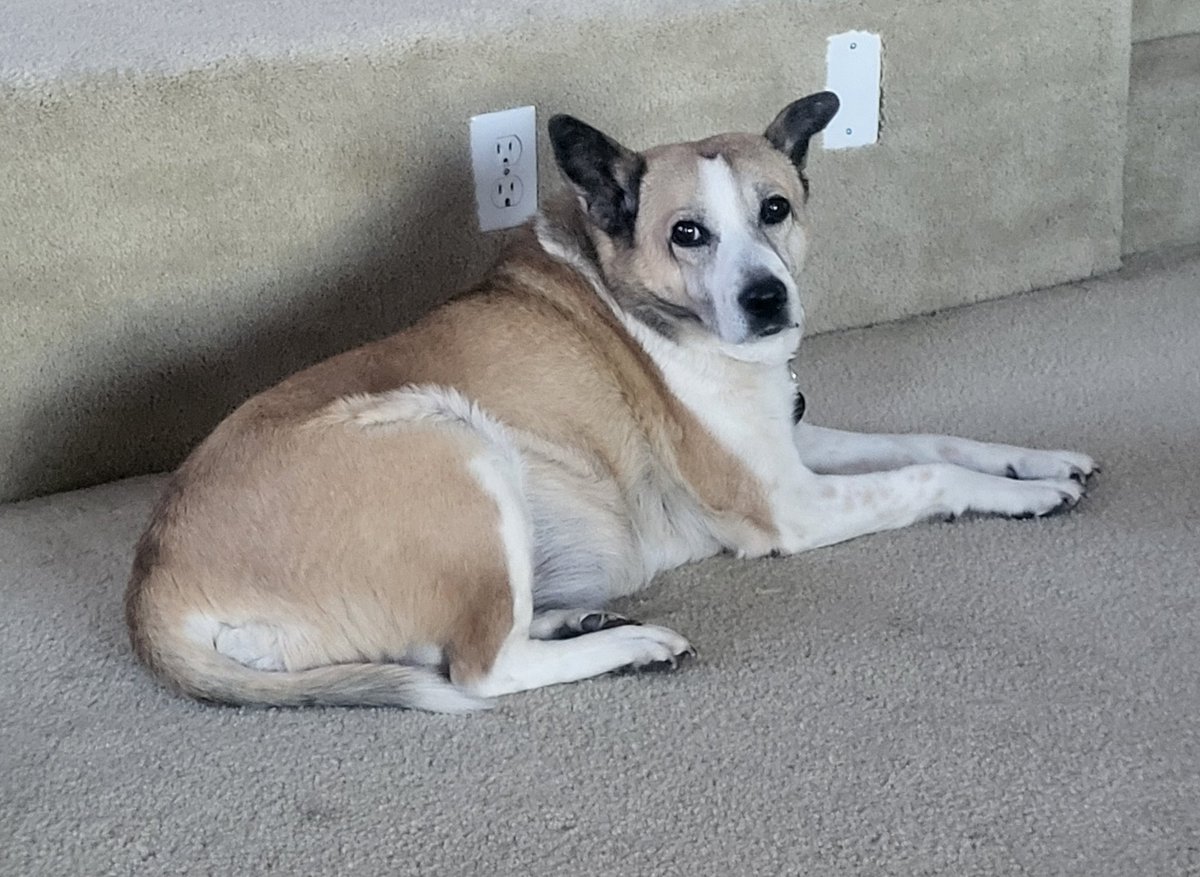 Mom of Teen Bois tweet media