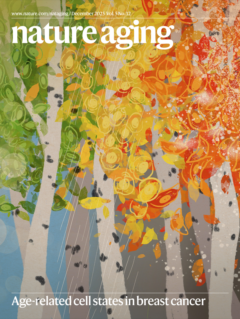 NatureAging's tweet photo. 🗞️Our December issue is live, featuring the identification of age-related cell states in breast cancer on the cover!📷The issue also includes work on ECM aging, somatic mutations, epigenetic drift, intrinsic capacity and much more. Read it all here: https://t.co/WVLoCTJ32s https://t.co/nzlzGEg1RQ