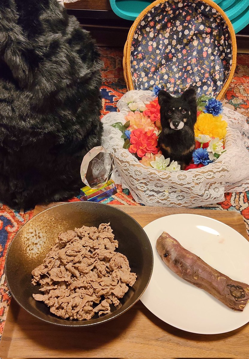 maehara30's tweet photo. 過ぎちゃったけど、去年の12月15日、犬が亡くなりました。 https://t.co/NhxgPkRgkw