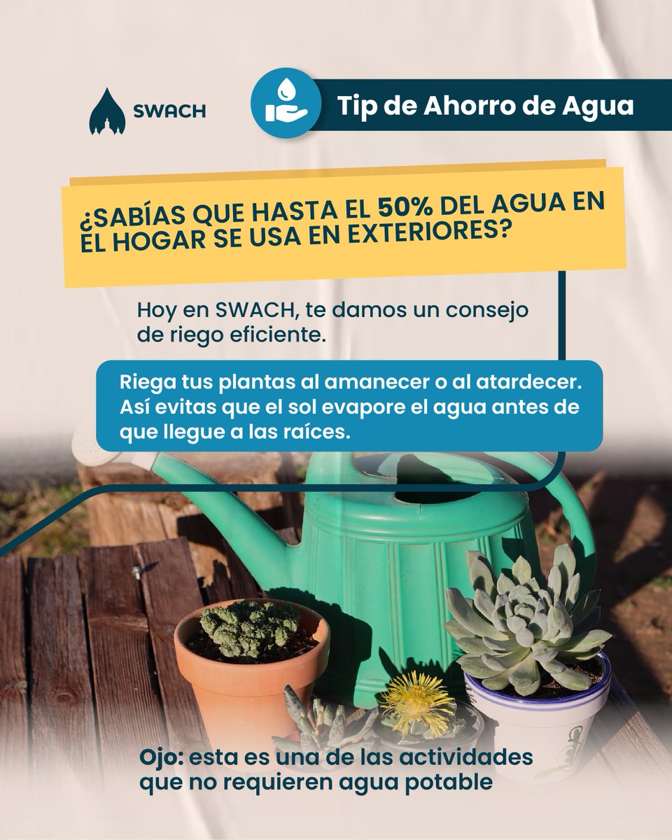 swach_ec's tweet photo. En estos días no ha llovido y el agua es más valiosa que nunca. También desde tu jardín puedes ayudar 🌿

👉 Riega al amanecer o al atardecer
👉 Aprovecha el agua de lluvia cuando haya
👉 Usa regadera en lugar de manguera

💧 Súmate a la #AcciónAzul y cuida el agua desde casa. https://t.co/skZMUD1hng