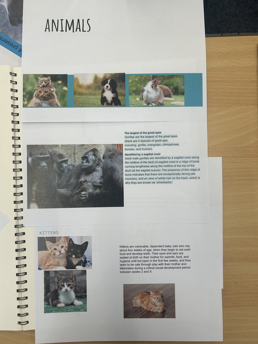 Marish Academy Trust tweet media