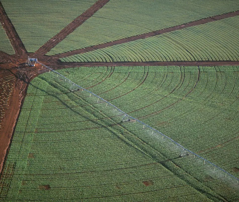 WWFitalia's tweet image. L'agroecologia è fondamentale per una transizione verso sistemi agricoli più sostenibili

Il governo italiano ha però deciso di tagliare i fondi al programma europeo

Per questo insieme a tre associazioni abbiamo scritto al Ministero dell'Agricoltura 👇
wwf.it/pandanews/soci…