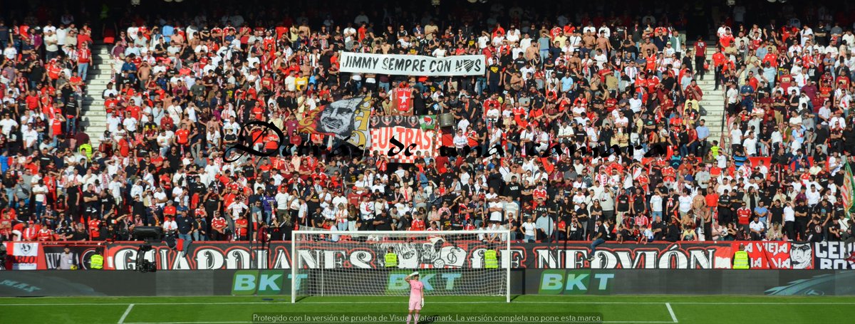 LA GRADA DETRÁS DE UNA CÁMARA tweet media