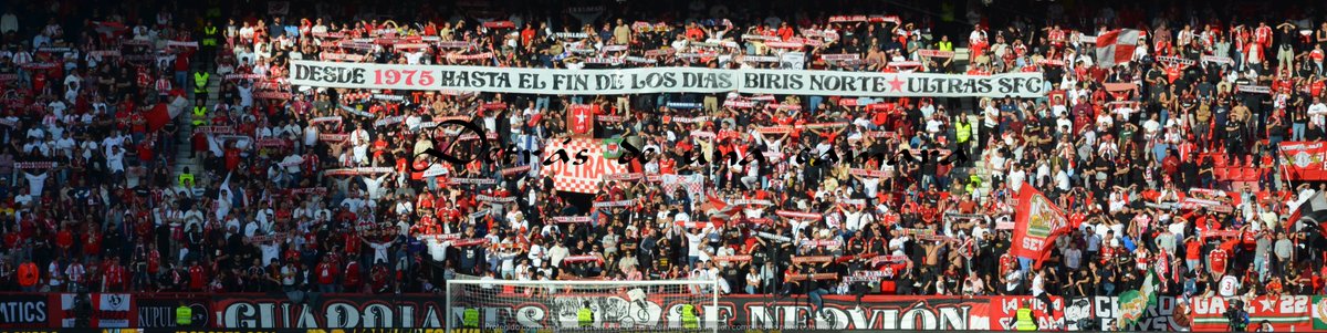 LA GRADA DETRÁS DE UNA CÁMARA tweet media