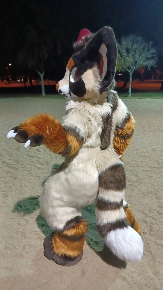 Archie 🔜 LVFC tweet media