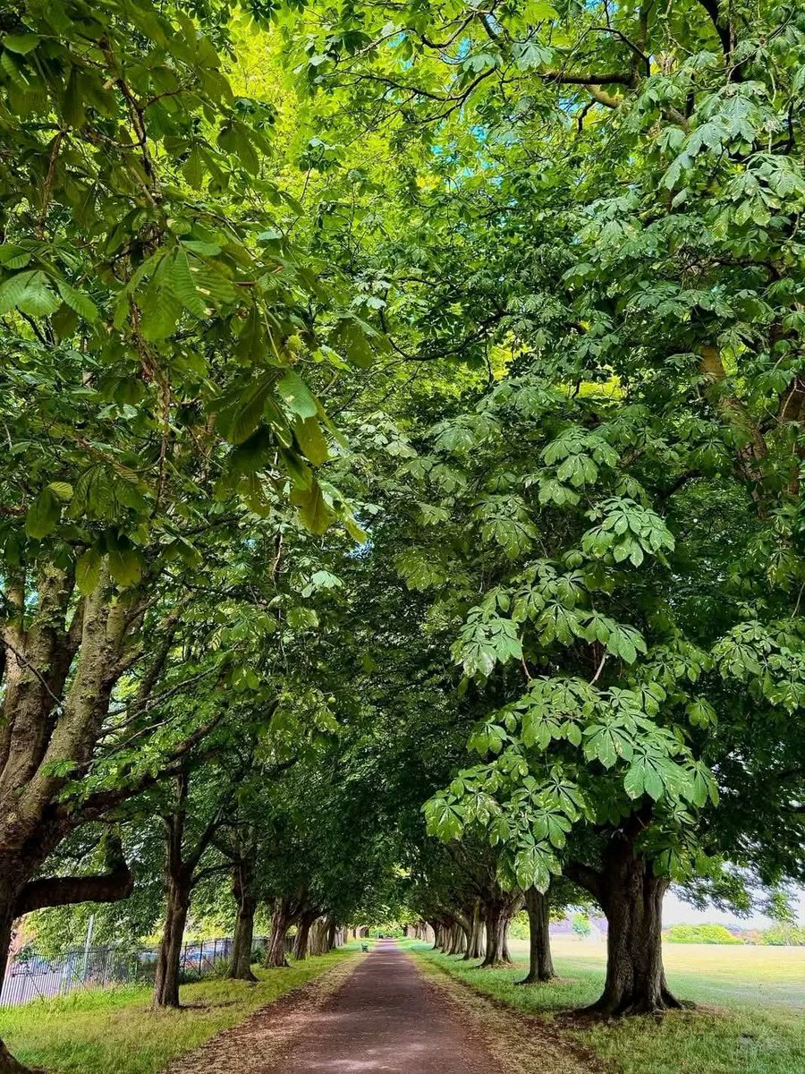 Mariam • tweet media