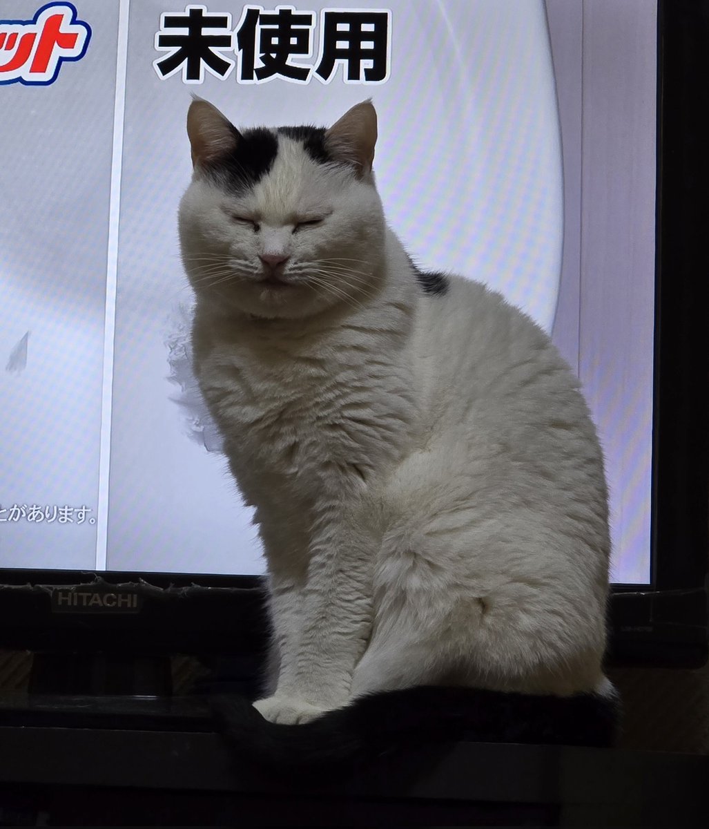 Post by まさ on X: 10分後