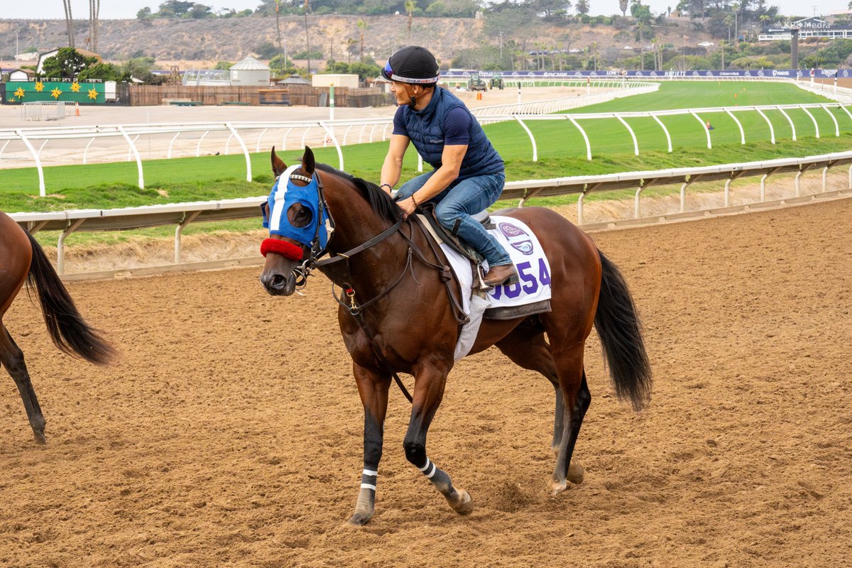 Champs of the Track tweet media