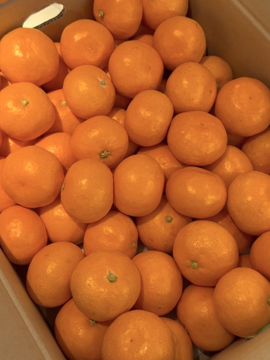 うめだからみかん届いたありがとう #いただきキヨちゃん @z900rs12r6r