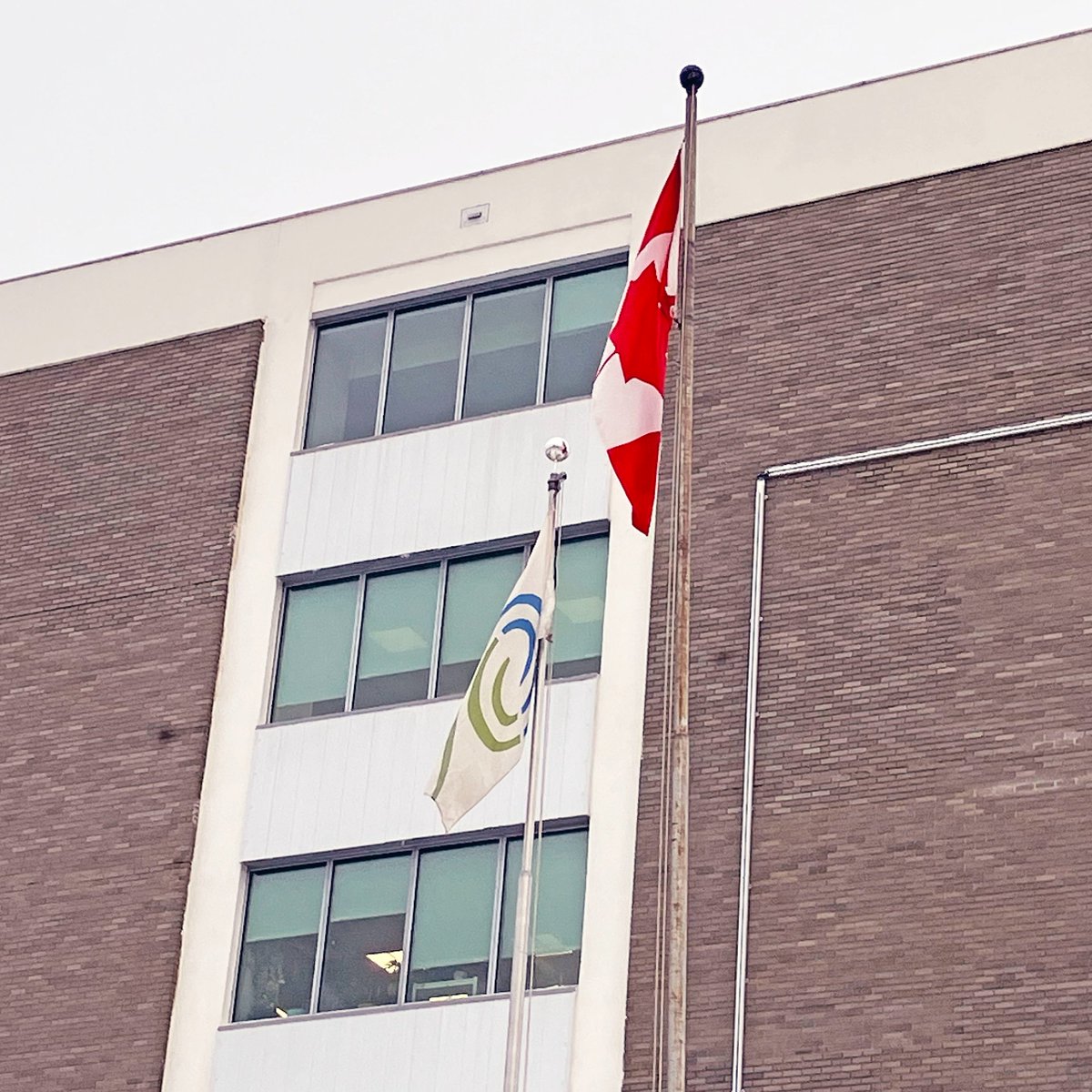 Gift of Life flag is flying today. Raised in tribute to a donor &amp; honouring the gift of life offered to help others. #thankyou