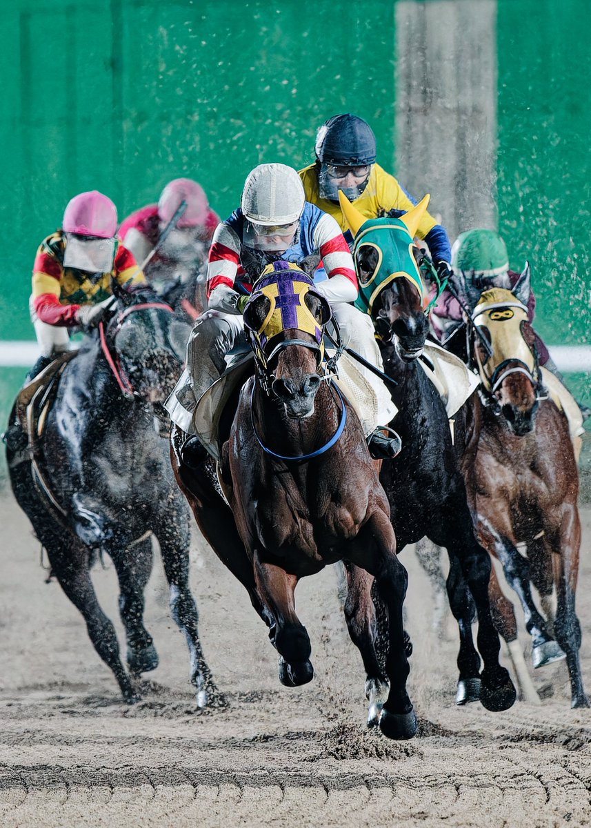 sagakeibaphoto's tweet photo. 251214 佐賀8R 第5回エーエスピー福岡カップ
パトリオットゲーム×小松丈二騎手
＃さがけいば https://t.co/wgjqkQBhGp