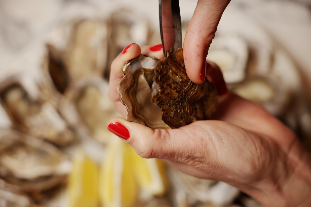 le_Parisien's tweet image. « Ça se marie super bien » : d’où vient la tendance... « huître Red Bull » qui fait sensation sur TikTok
➡️ l.leparisien.fr/kP8L