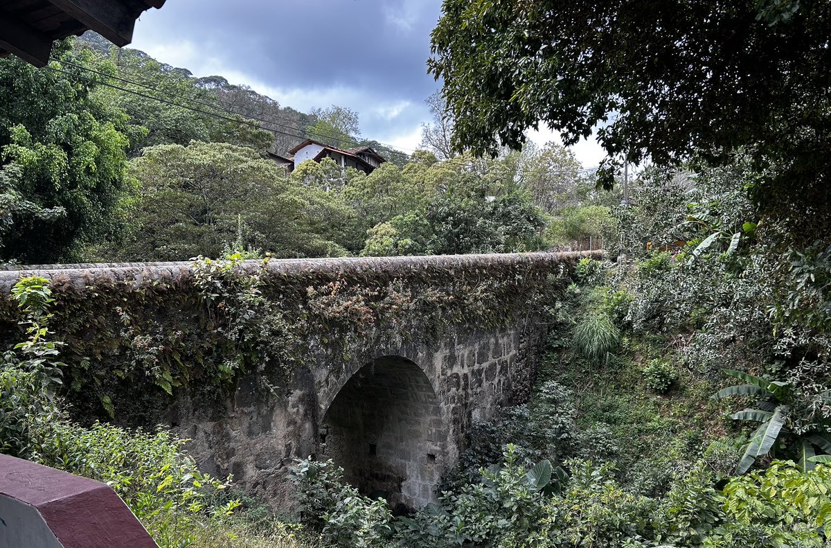 Jack Payne tweet media