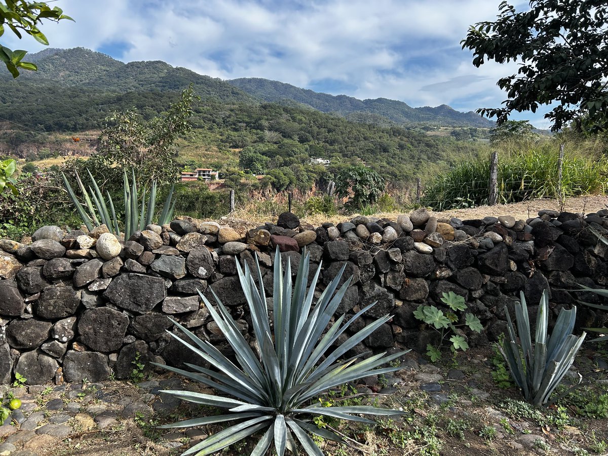 Jack Payne tweet media