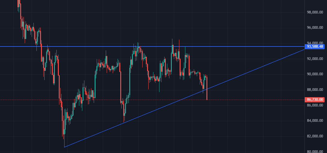 Nick 🏆 tweet media