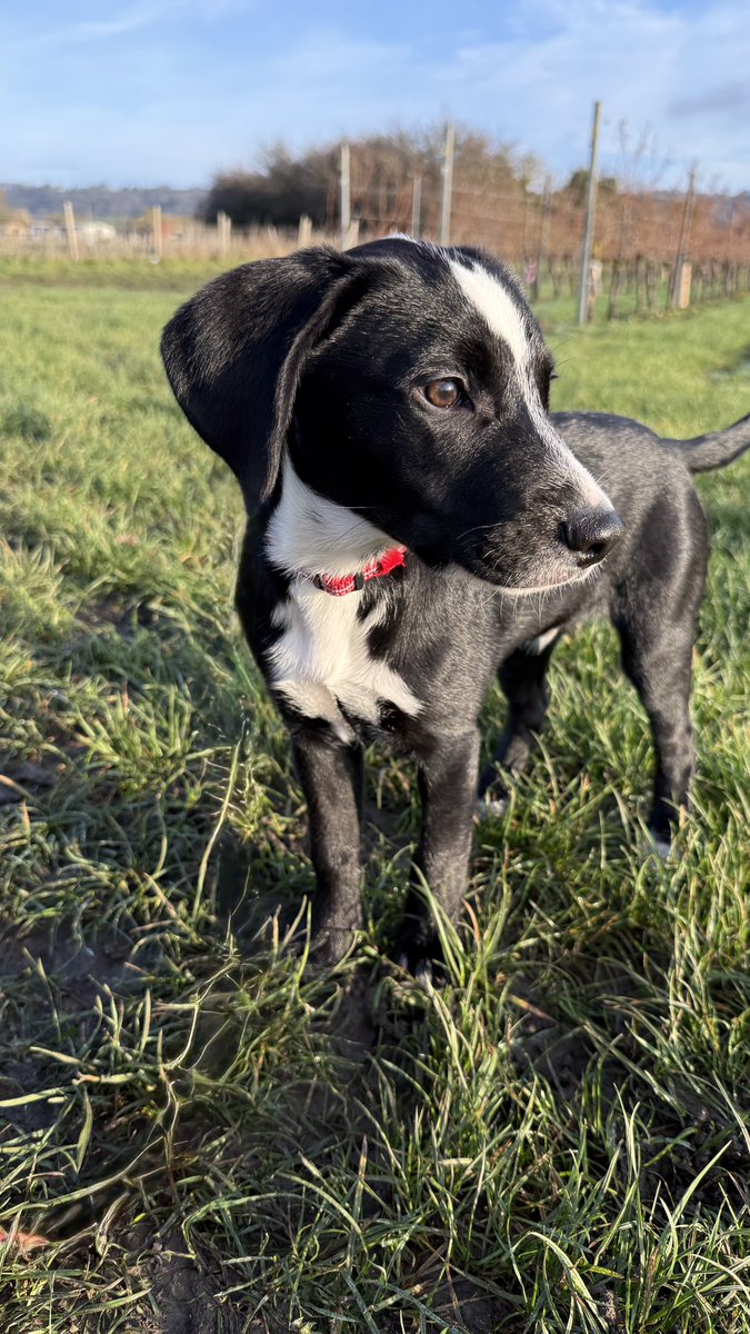 MerlinnotDesmo's tweet image. Growing up